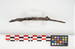 Foto von Bimetallgürtelhaken (NHMW-PRAE-025710)